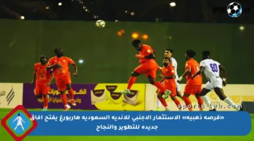 «فرصة ذهبية» الاستثمار الأجنبي للأندية السعودية هاربورغ يفتح آفاق جديدة للتطوير والنجاح